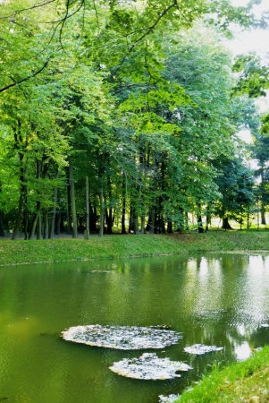 Zdjęcie z Polski - w parku znajdziemy dwa stawy i jedno małe jeziorko