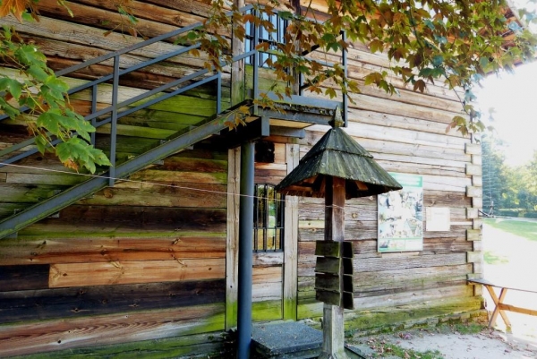 Zdjęcie z Polski - skansen w Janowcu
