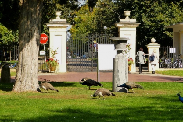 Zdjęcie z Polski - Puławy, Pałac Czartoryskich