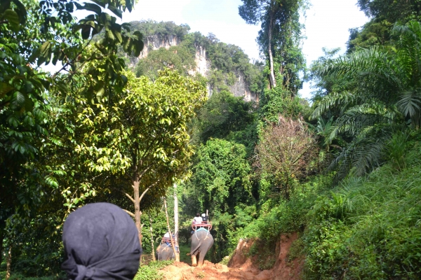 Zdjęcie z Tajlandii - Klong Thom, trekking przez dzungle
