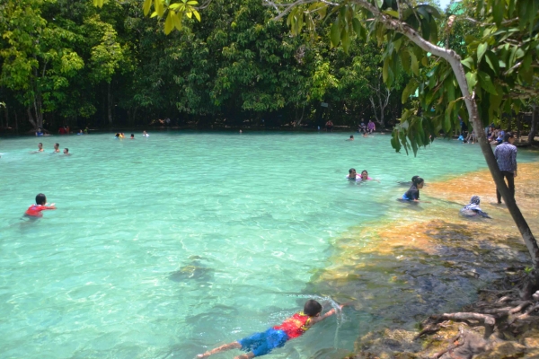 Zdjęcie z Tajlandii - Emerald Pool w dzungli Khao Phra Bang Khram 