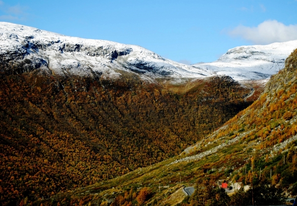 Zdjęcie z Norwegii - 