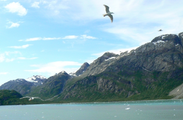 Zdjęcie ze Stanów Zjednoczonych - Glacier Bay