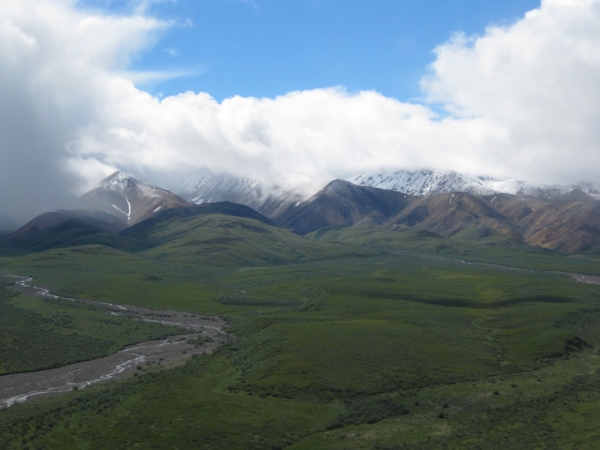 Zdjęcie ze Stanów Zjednoczonych - Denali N.P.