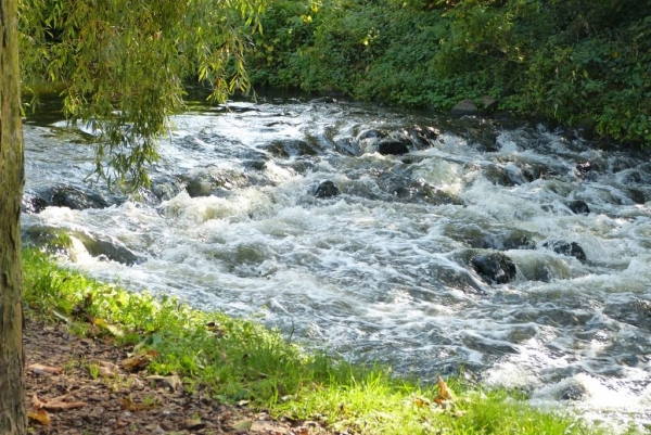 Zdjęcie z Polski - Żelazowa Wola, nad Utratą