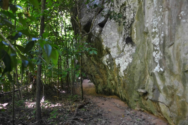 Zdjęcie z Tajlandii - Szlak przez dzungle wzloz wysokiego klifu