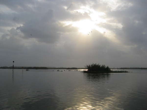 Zdjęcie z Iranu - Laguna Anzali