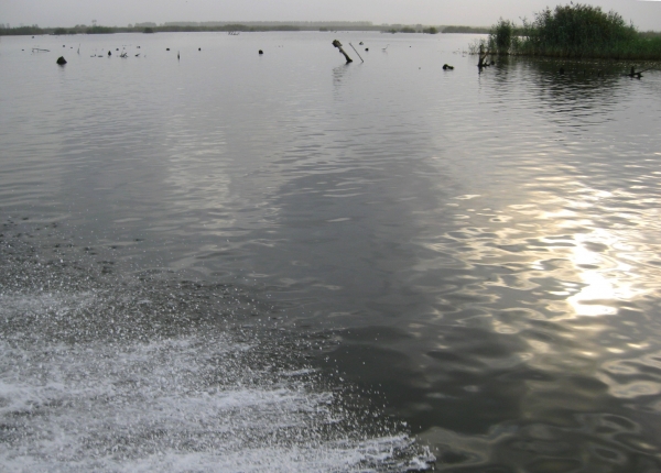 Zdjęcie z Iranu - Laguna Anzali