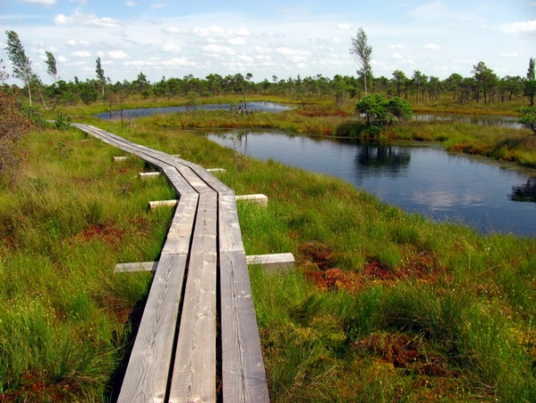 Zdjęcie z Łotwy - Szlak Large Kemeri Moorland.