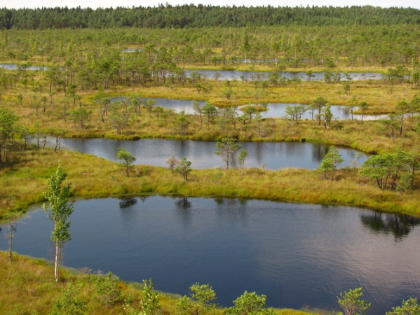 Zdjecie - Łotwa - w promieniu 100 km od Rygi (cz.1)