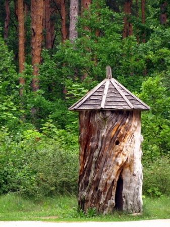 Zdjęcie z Łotwy - Ryski skansen - ul czy kapliczka?
