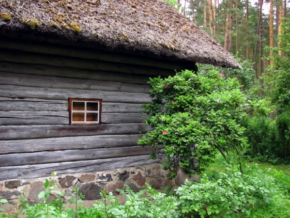 Zdjęcie z Łotwy - Ryski skansen - chata jak więzienie.