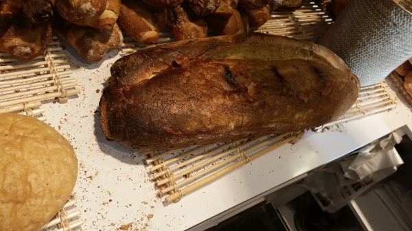 Zdjęcie z Hiszpanii - 