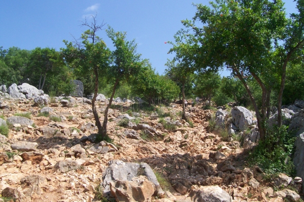Zdjęcie z Bośni i Hercegowiny - Medjugorje