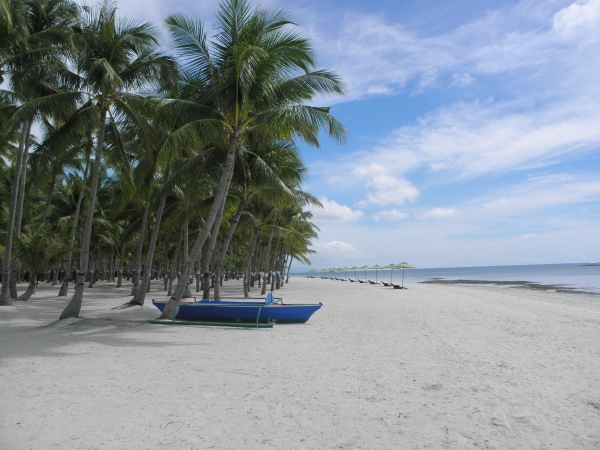 Zdjęcie z Filipin - Panglao south palm resort