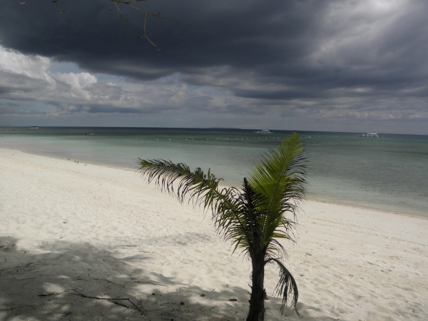 Zdjęcie z Filipin - Pangalo South palm Resort