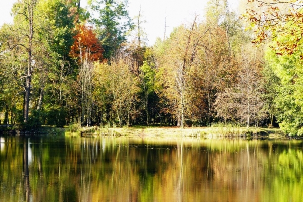 Zdjęcie z Polski - park w Arkadii w jesiennej odsłonie