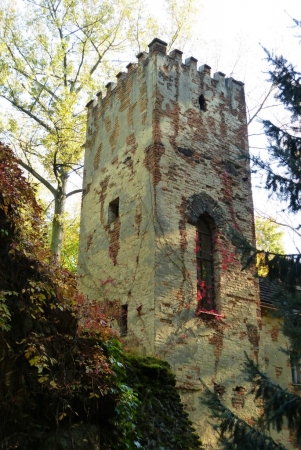 Zdjęcie z Polski - Dom Murgrabiego