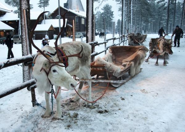 Zdjęcie z Finlandii - 