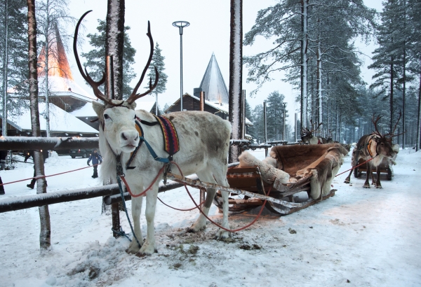 Zdjecie - Finlandia - Laponia, Rovaniemi