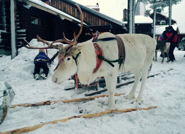 Zdjęcie z Finlandii - 