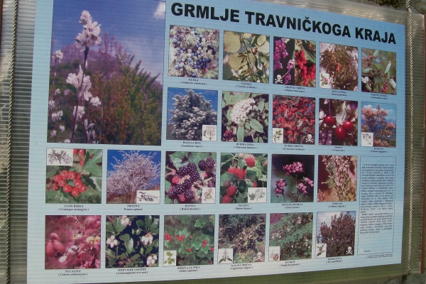 Zdjęcie z Bośni i Hercegowiny - Travnik