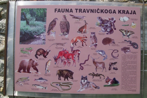 Zdjęcie z Bośni i Hercegowiny - Travnik