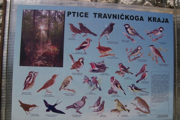 Zdjęcie z Bośni i Hercegowiny - Travnik