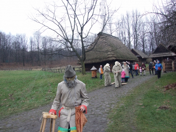 Zdjęcie z Polski - golac o zielonej twarzy