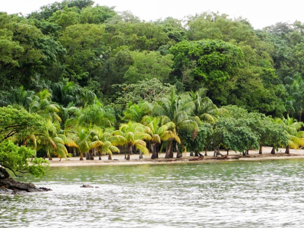 Zdjęcie z Hondurasu - ROATAN