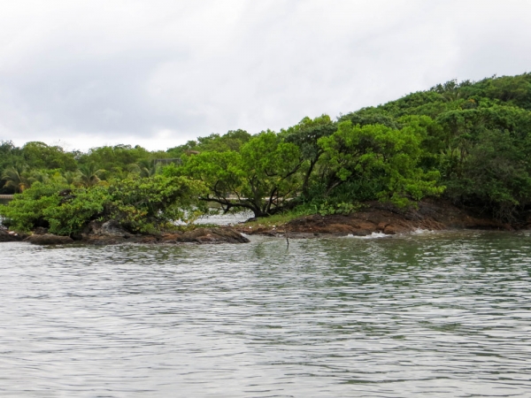 Zdjęcie z Hondurasu - ROATAN