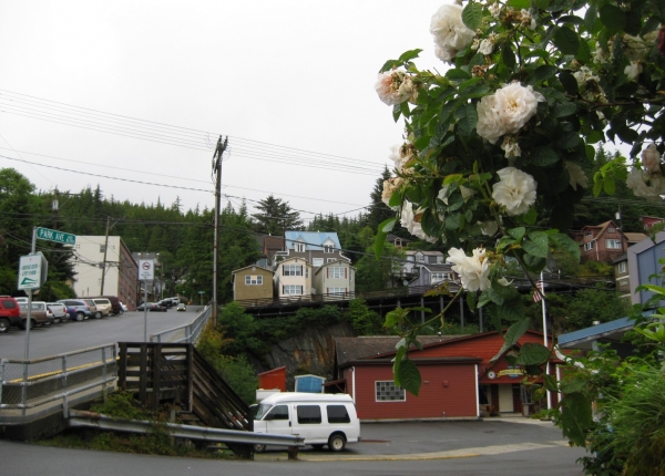 Zdjęcie ze Stanów Zjednoczonych - Ketchikan