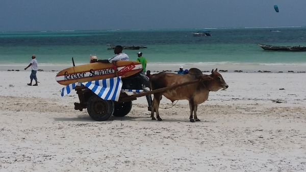 Zdjęcie z Tanzanii - 