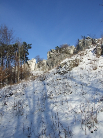 Zdjęcie z Polski - Zborów