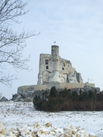 Zdjęcie z Polski - Mirów