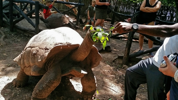 Zdjęcie z Tanzanii - 