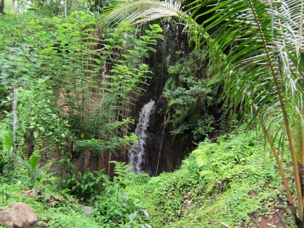 Zdjęcie z Indonezji - Bali