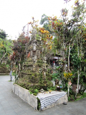Zdjęcie z Indonezji - Bali