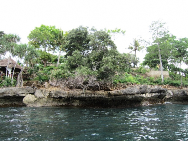 Zdjęcie z Indonezji - Lembongan