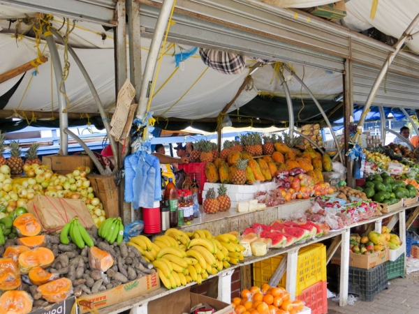 Zdjęcie z Curacao - Willemstad CURACAO
