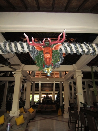 Zdjęcie z Indonezji - Bali