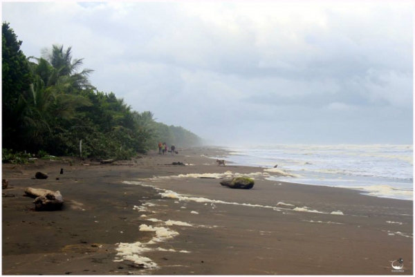 Zdjęcie z Kostaryki - Tortuguero Village (Caribbean)