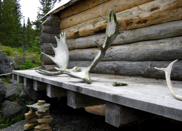 Zdjęcie ze Stanów Zjednoczonych - Yukon Territory (Kanada)