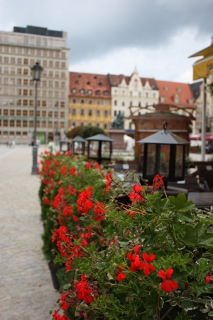 Zdjęcie z Polski - rynek