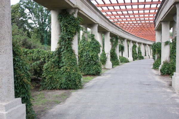 Zdjęcie z Polski - Pergola