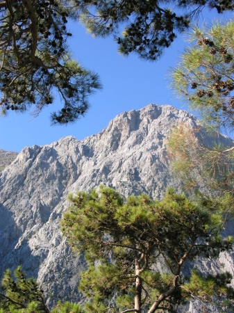 Zdjęcie z Grecji - samaria 9