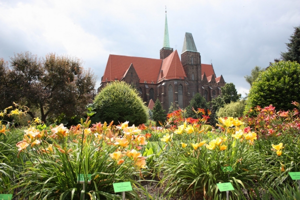 Zdjęcie z Polski - Ogród Botaniczny