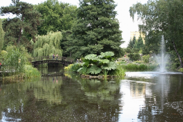 Zdjęcie z Polski - Ogród Botaniczny