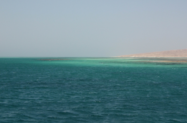 Zdjęcie z Egiptu - wyspa Giftun