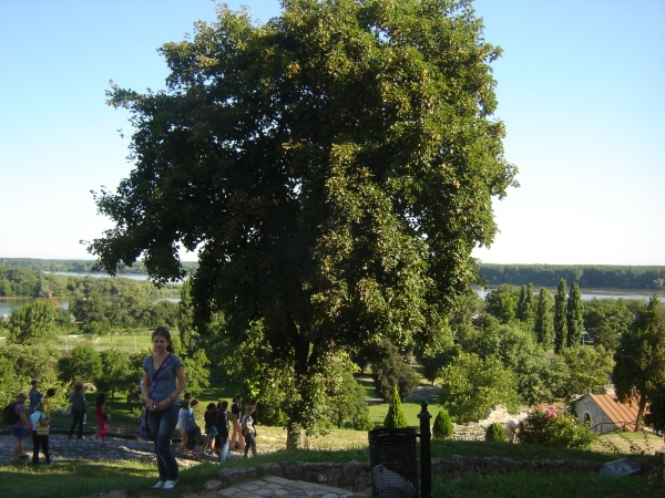 Zdjęcie z Serbii - Kalemegdan